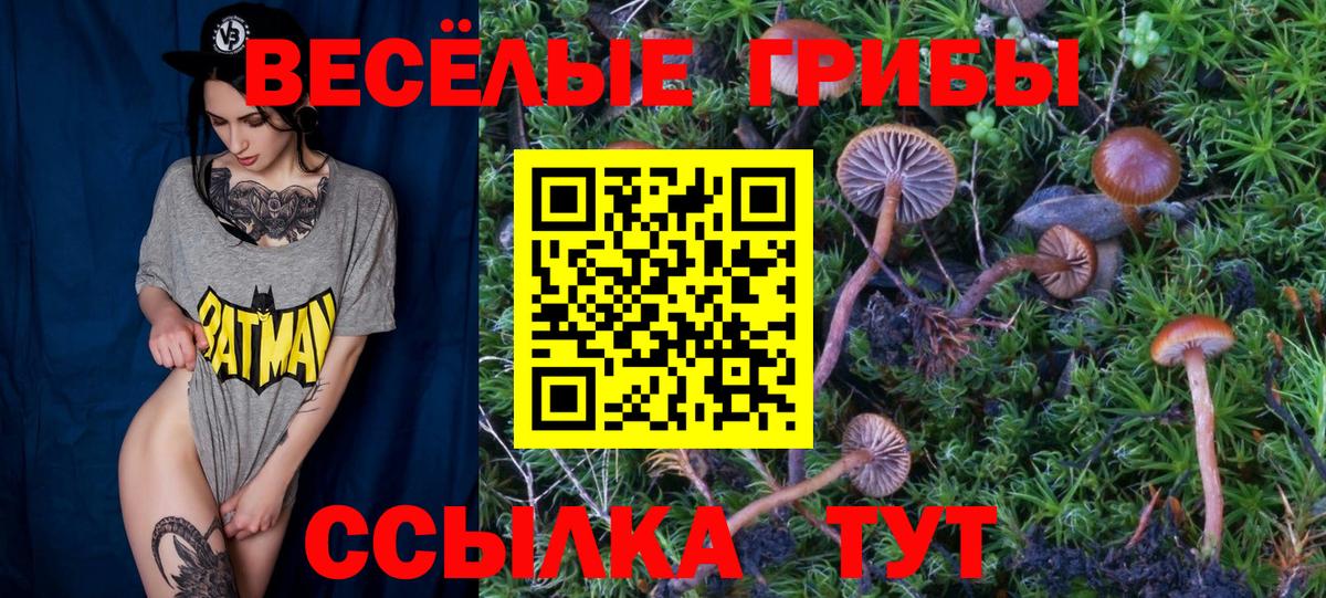 Псилоцибиновые грибы ЛСД  Вход с VPN  Белая Калитва  Галлюциногенные грибы MAGIC MUSHROOMS 